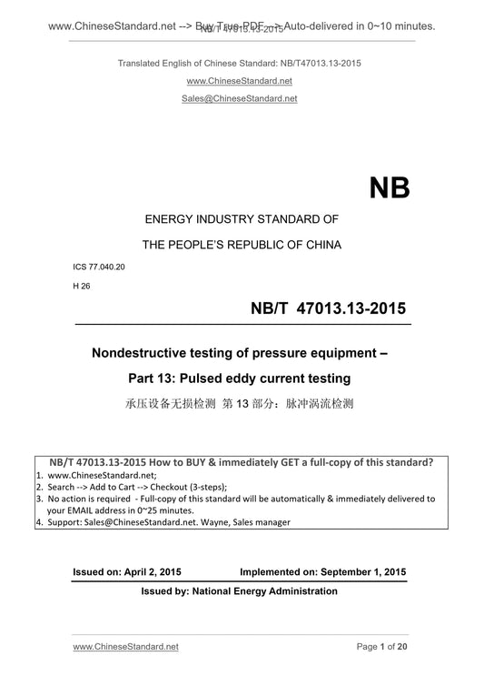 NB/T 47013.13-2015 Page 1