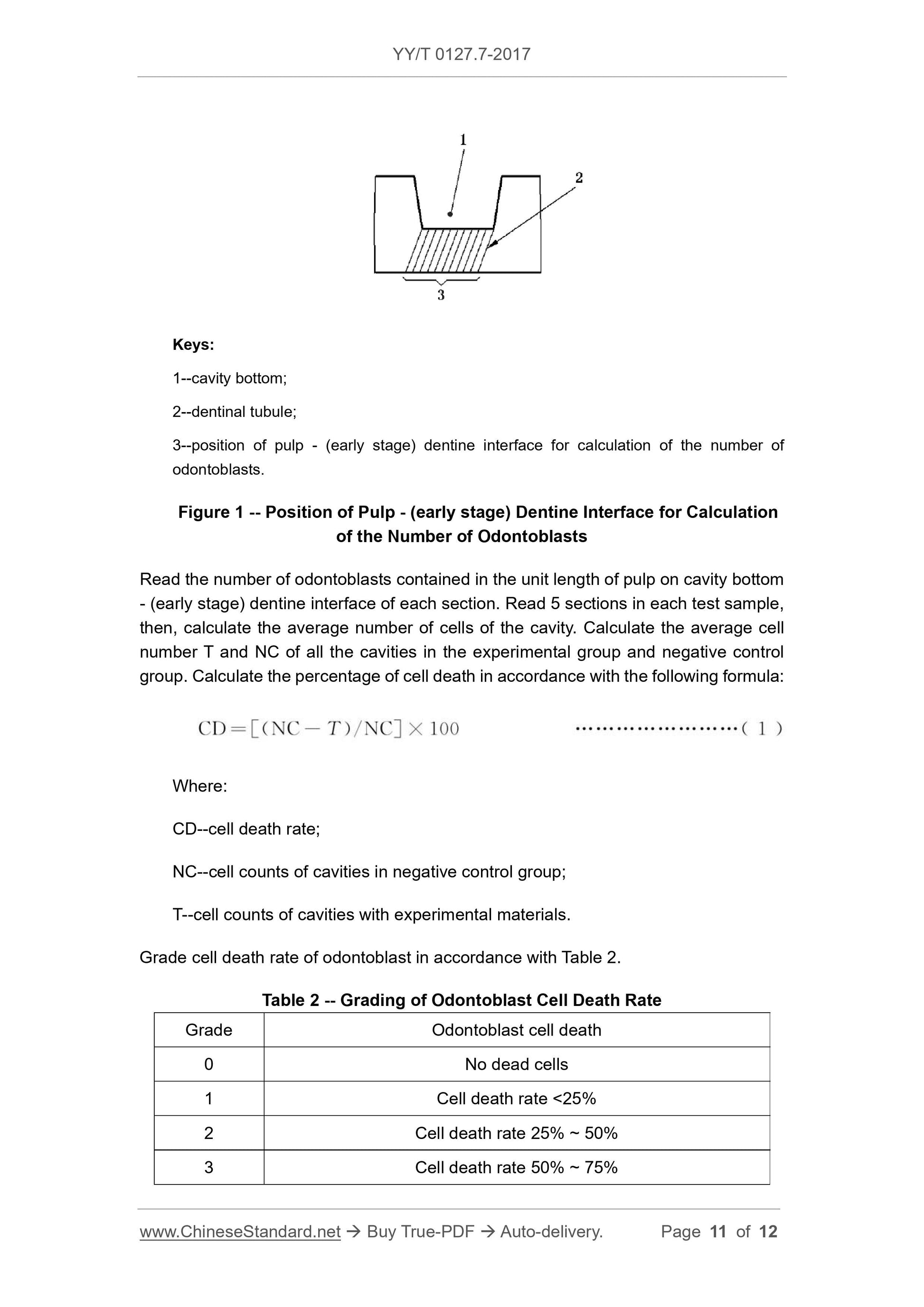 YY/T 0127.7-2017 Page 11